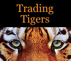 Trading Tigers Logo